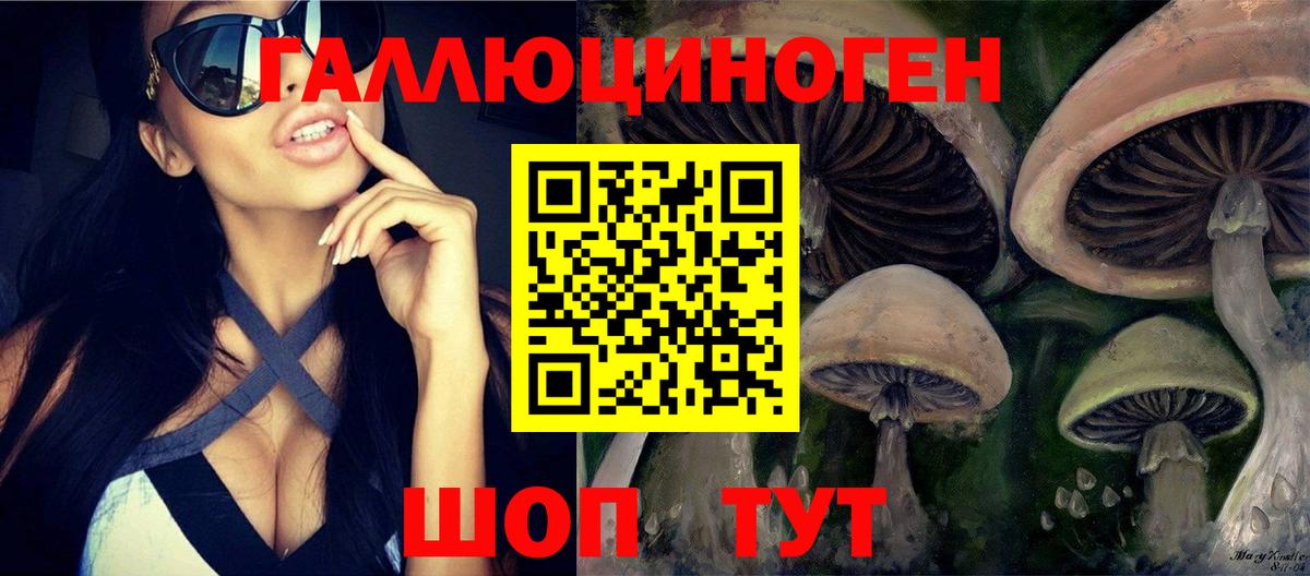 Псилоцибиновые грибы MAGIC MUSHROOMS  Псилоцибиновые грибы Magic Shrooms  Вход с VPN  Архангельск 